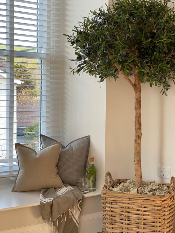 Salthouse Apartment Aberaeron Dış mekan fotoğraf